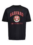 Harvard miesten t-paita - Miesten paidat ja t-paidat - 22022490 - 1