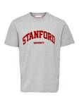 Stanford t-paita - Miesten paidat ja t-paidat - 22023064 - 7