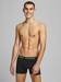 Sugar skull miesten boxerit 3 pr/pkt - Miesten asusteet - 12185485 - 5