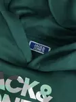 Luke lasten huppari - Poikien paidat ja t-paidat - 12259795 - 2