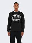 Dylan collegepaita - Miesten paidat ja t-paidat - 22023066 - 1