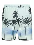 Tedswim uimashortsit - Miesten housut ja shortsit - 22028816 - 4