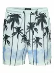 Tedswim uimashortsit - Miesten housut ja shortsit - 22028816 - 3