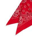 Young bandana - Miesten asusteet - 12191769 - 2